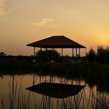 Blackbuck Safari Lodge Velavadar Bavliari Dış mekan fotoğraf