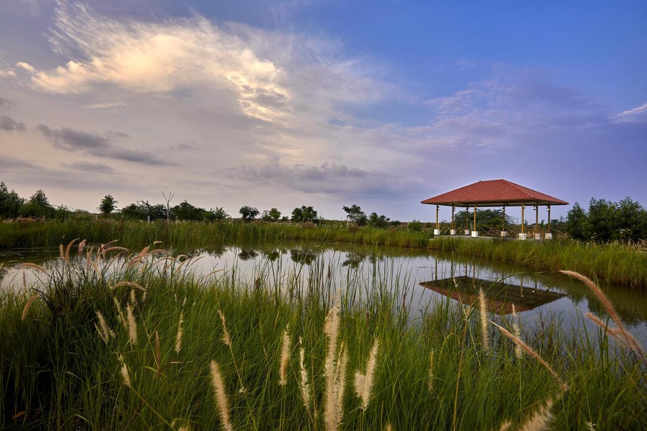 Blackbuck Safari Lodge Velavadar Bavliari Dış mekan fotoğraf
