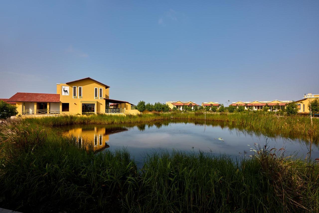 Blackbuck Safari Lodge Velavadar Bavliari Dış mekan fotoğraf