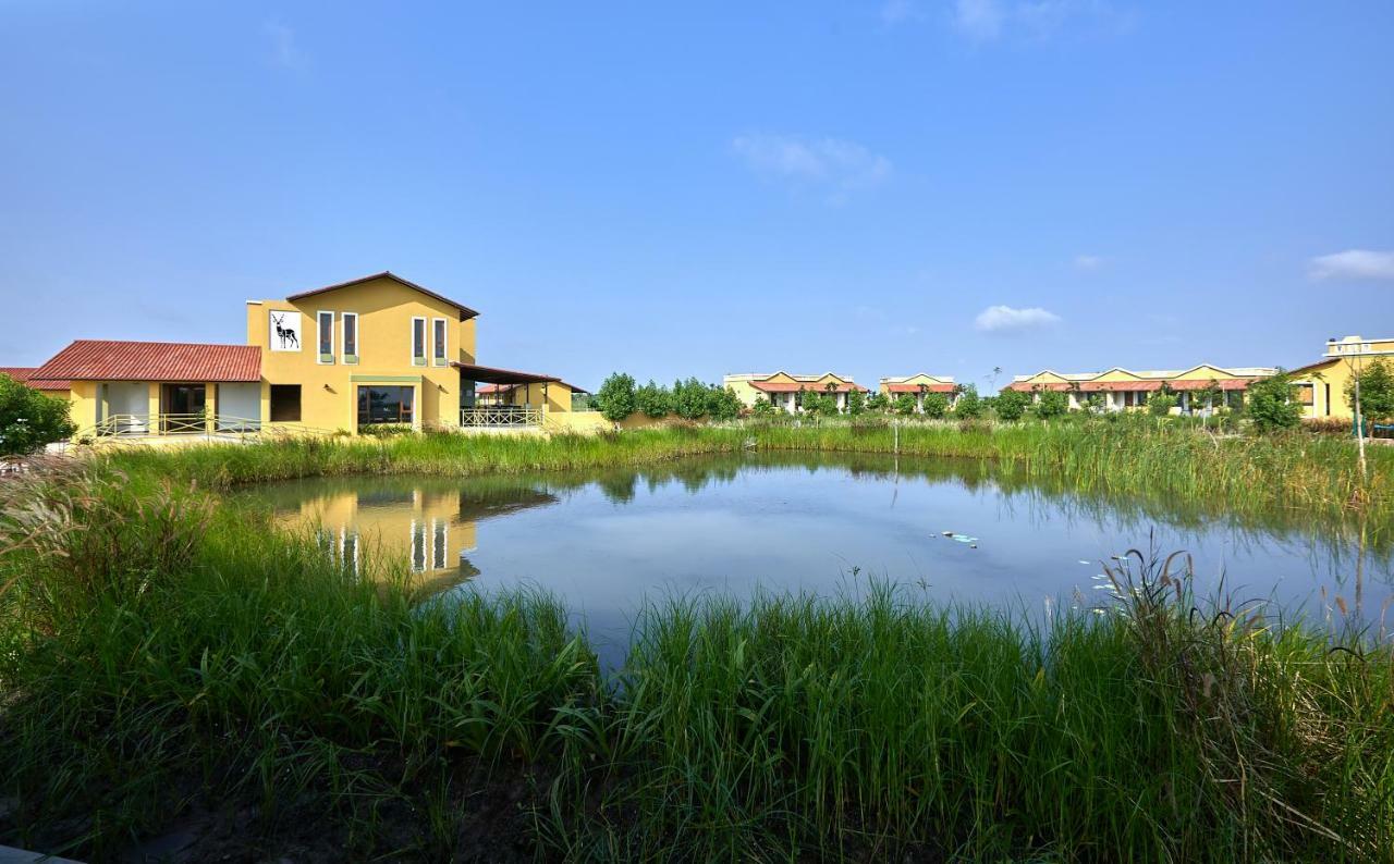 Blackbuck Safari Lodge Velavadar Bavliari Dış mekan fotoğraf