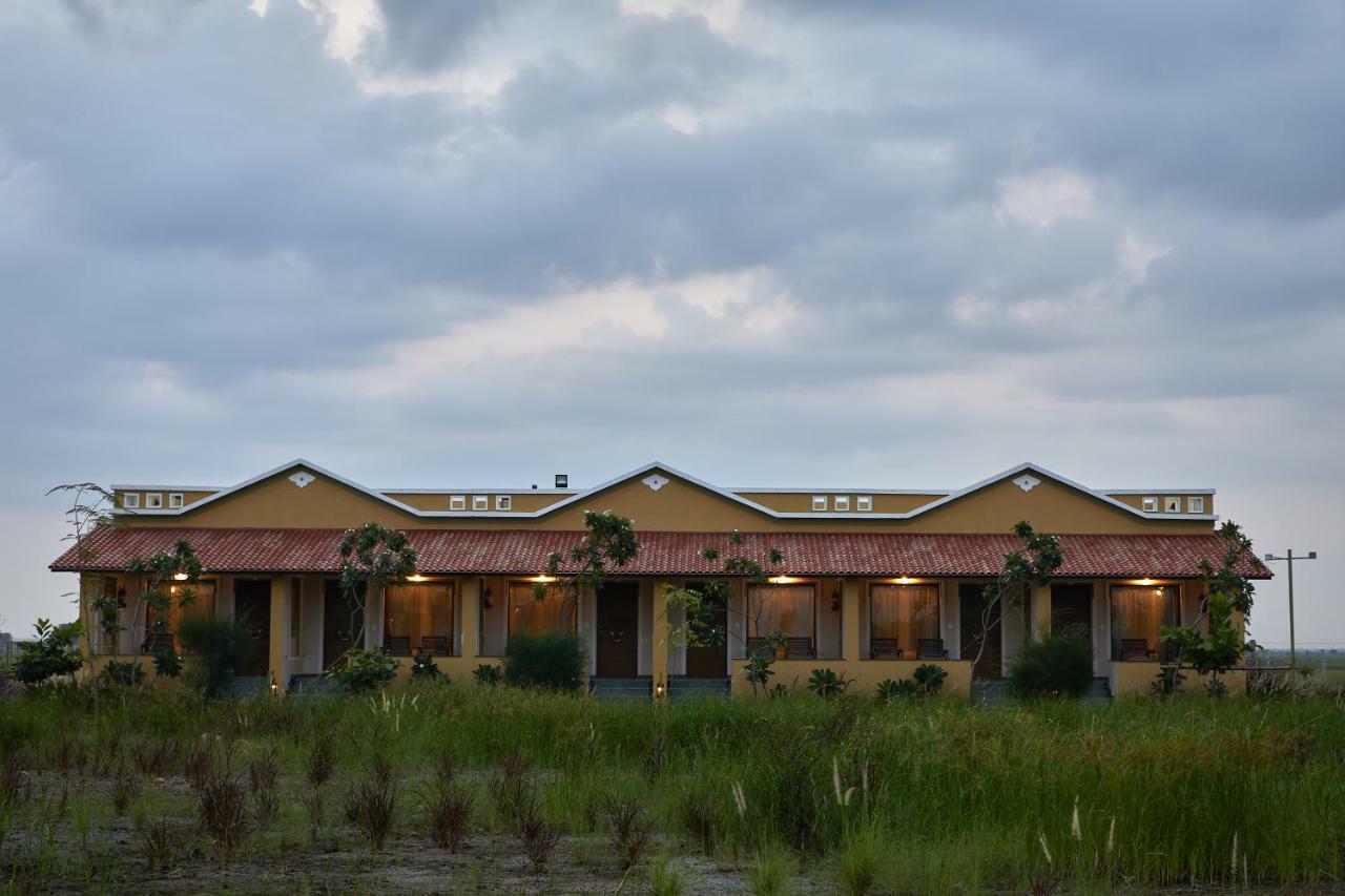Blackbuck Safari Lodge Velavadar Bavliari Dış mekan fotoğraf